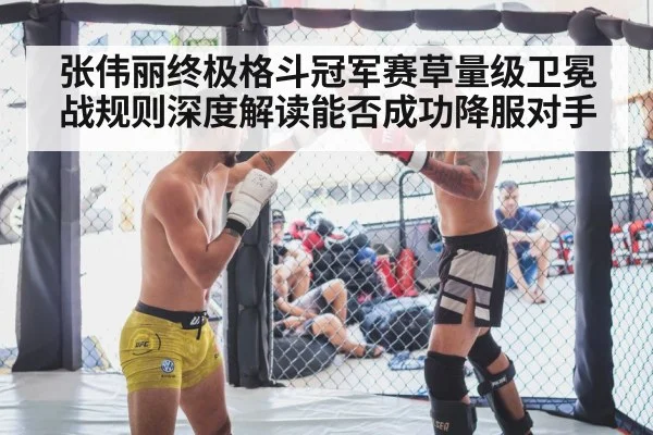 MMA fight cage
